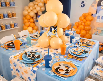 Modern White Bounce House – Party Package